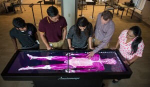 College of Dental Medicine students use the Anatomage Virtual Dissection Table in the new Virtual Reality Learning Center housed in the Harriet K. and Philip Pumerantz Library at Western University of Health Sciences Friday, Aug. 20. 2015. (Jeff Malet, WesternU)